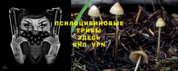 2c-b Заволжск