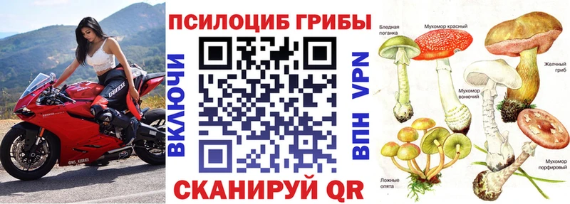 Галлюциногенные грибы прущие грибы  Купить закладки  Юрьевец 